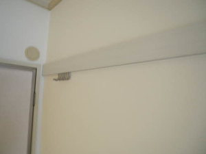 プリムローズ A0206号-12