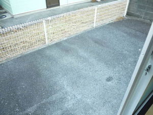 パークハイツ大貞 A0101号-13