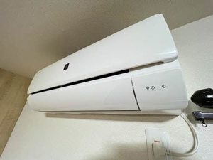 シンセリティ　＊＊ A0101号-12