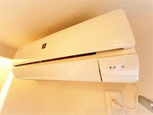 シンセリティ　＊＊ A0201号-12