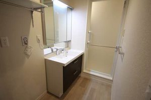 ＳＨＡＭＡＩＳＯＮ　ＧＲＡＮＦ　＊ A0301号-6