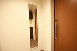 ＳＨＡＭＡＩＳＯＮ　ＧＲＡＮＦ　＊ A0301号-9