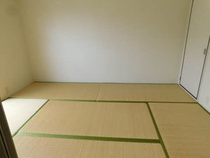 リバーサイド若楠　Ｃ棟 C0201号-5