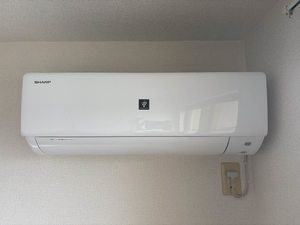 ボーヴィラージュⅡ A0202号-7