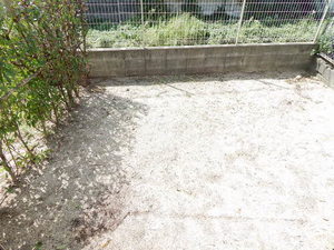 プリマヴェーラ A0103号-11