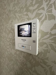 ハリー・ファースト　＊＊ A0101号-11