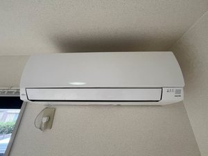 ハリー・ファースト　＊＊ A0103号-14