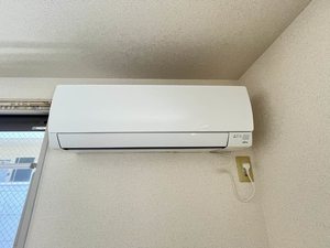 ハリー・ファースト ** A0201号-8
