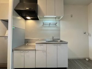 ハリー・ファースト　＊＊ A0203号-3