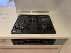 シャーメゾンローツェ国府　＊ A0102号-5