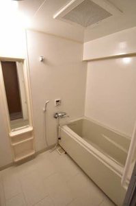 コスミオスコート A0602号-5