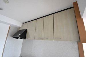 コスミオスコート A0602号-10