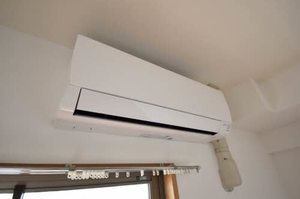 コスミオスコート A0602号-13