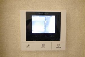 フルール・ド・ヒサノ * A0206号-11