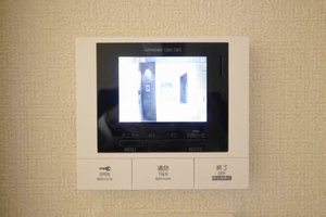 フルール・ド・ヒサノ * A0308号-11