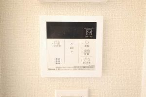 フルール・ド・ヒサノ * A0308号-13