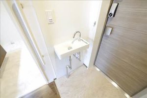 フルール・ド・ヒサノ　＊ A0407号-10