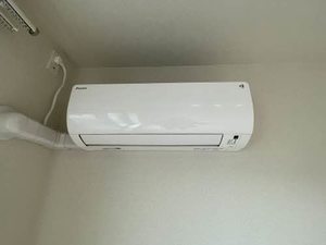シャーメゾン　ルピナス　＊ A0204号-10