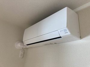 アンシエント　＊ A0301号-8