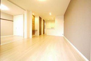 アミコートⅠ　＊ A0204号-2