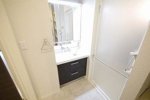 アミコートⅠ　＊ A0204号-6