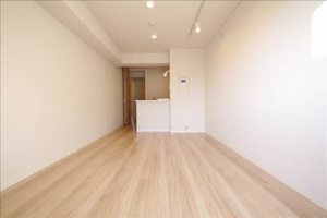 ＳｈａＭａｉｓｏｎ　Ｖｉｖａｃｅ　＊ A0304号-2