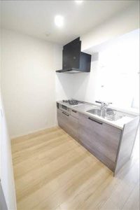 ＳｈａＭａｉｓｏｎ　Ｖｉｖａｃｅ　＊ A0304号-4