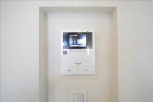 ＳｈａＭａｉｓｏｎ　Ｖｉｖａｃｅ　＊ A0304号-8