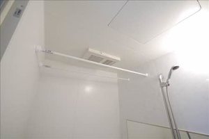 ＳｈａＭａｉｓｏｎ　Ｖｉｖａｃｅ　＊ A0304号-9