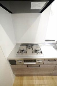 ＳｈａＭａｉｓｏｎ　Ｖｉｖａｃｅ　＊ A0304号-10