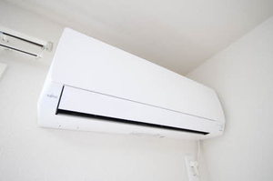 ＳｈａＭａｉｓｏｎ　ＹＡＳＵＮＩＳＨＩ　＊ A0202号-8