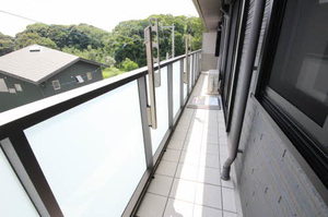 ＳｈａＭａｉｓｏｎ　ＹＡＳＵＮＩＳＨＩ　＊ A0302号-13