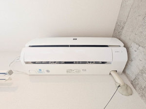 Ｌｉｆｅ　ｉｎｎ　こいけ　＊ A0205号-14