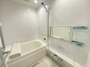 ＡＬＳＴＲＯＭＥＲＩＡ　＊ A0102号-9