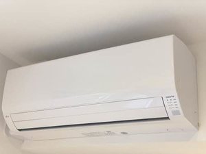 ＡＬＳＴＲＯＭＥＲＩＡ　＊ A0102号-11