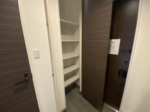 ＡＬＳＴＲＯＭＥＲＩＡ　＊ A0102号-12