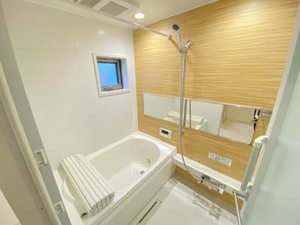ALSTROMERIA A0103号-4