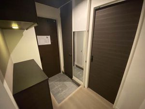 ALSTROMERIA * A0105号-5