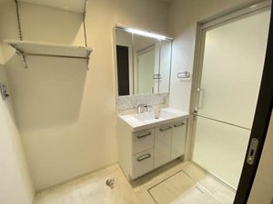 ALSTROMERIA * A0105号-11