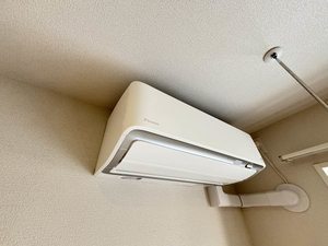 ｓｈａｍａｉｓｏｎ　Ｔａｋａｍｉｙａ　＊ A0303号-14