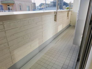 グランメゾン大龍 A0202号-8