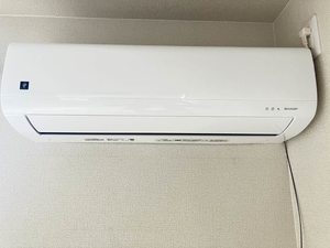 ディアスフレア A0201号-15