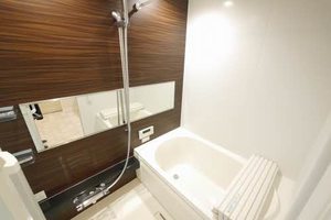 Via Salakuraza * A0303号-5