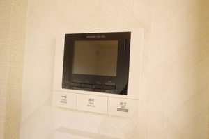 Via Salakuraza * A0303号-10