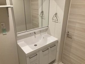 Ｓｈａｍａｉｓｏｎ　ｅｓｔ’　ｍａ－ｍａ　＊＊ A0102号-5