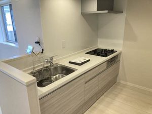 Ｓｈａｍａｉｓｏｎ　ｅｓｔ’　ｍａ－ｍａ　＊＊ A0201号-3