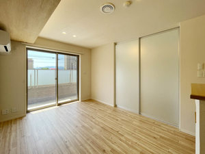 Ｖｅｒｄｅ　ｃｌａｒｏ＊ A0102号-2