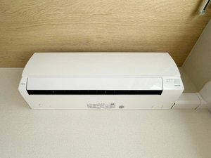 Ｖｅｒｄｅ　ｃｌａｒｏ＊ A0102号-13