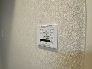 ＳｈａＭａｉｓｏｎ　Ｒｉｔｚ　＊＊ A0302号-10