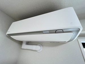 BEREO LUCE 三芳 ** A0302号-9